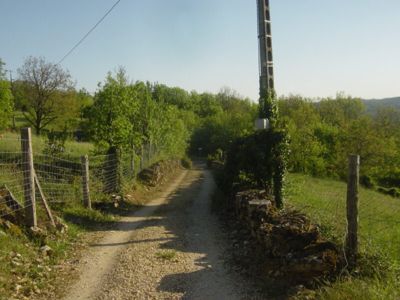 Farmhouse (5 beds) with grounds and swimming pool