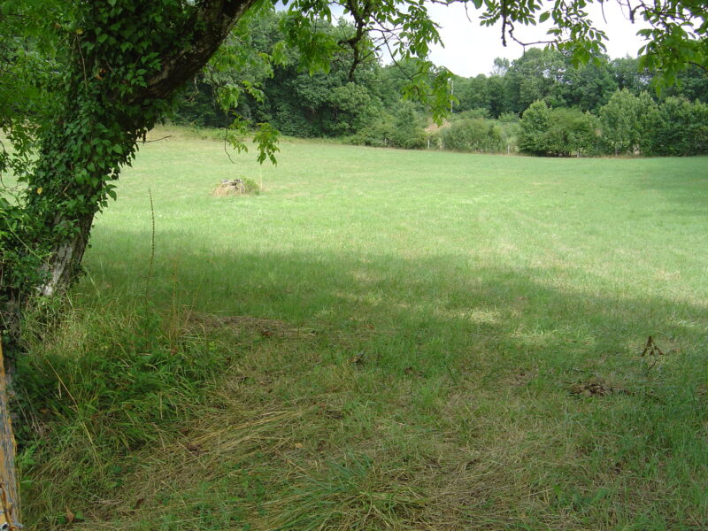 Farmhouse (5 beds) with grounds and swimming pool