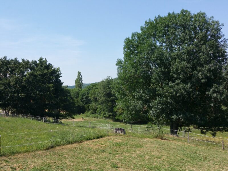 Gite 'Loire'