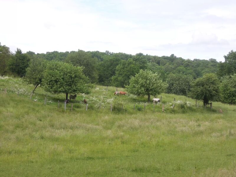 Le Pavillon de Chasse, East Wing