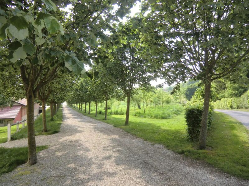 Le Pavillon de Chasse, East Wing