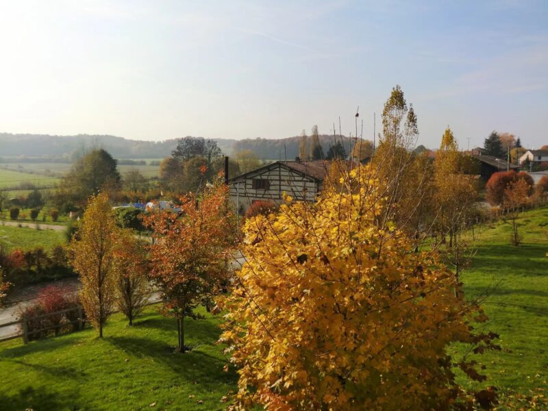 Le Pavillon de Chasse, West Wing