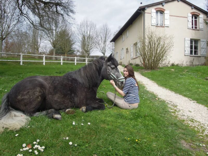 Le Pavillon de Chasse, West Wing