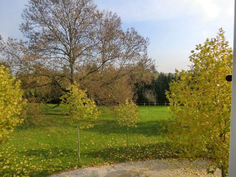 Le Pavillon de Chasse, East Wing