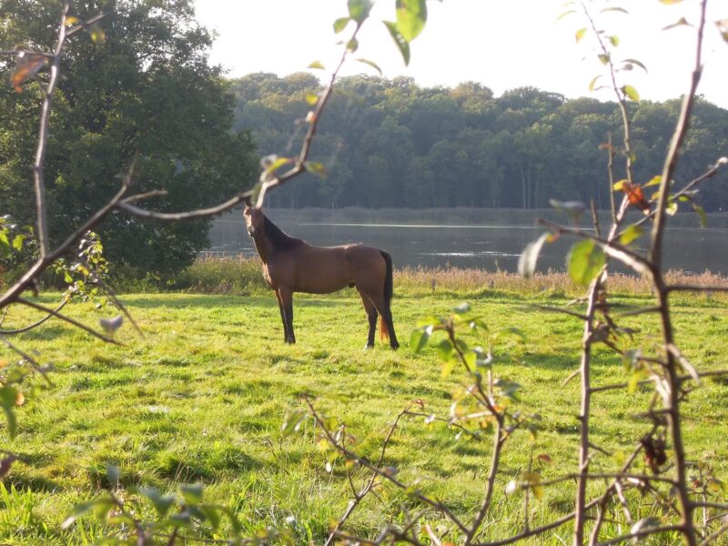 Le Pavillon de Chasse, East Wing