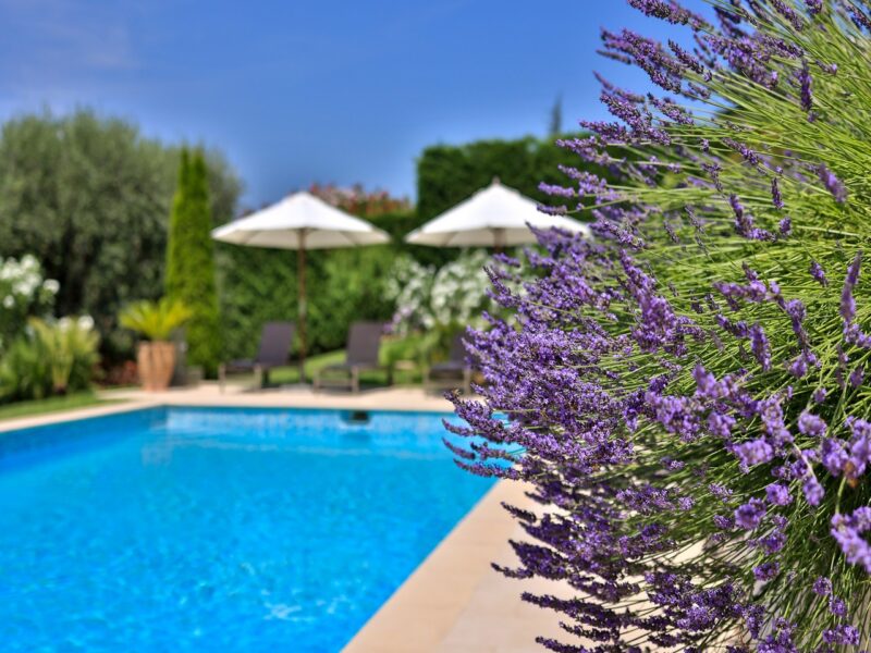 Villa des Cedres