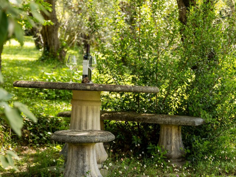 Domaine de la Source