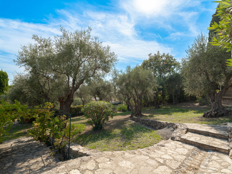 Bastide des Vignes