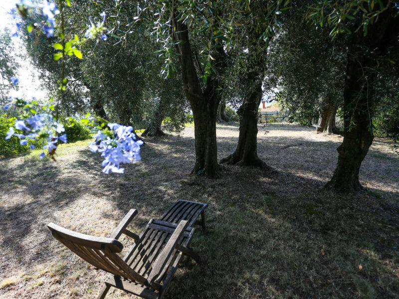 JdV Holidays Maison Fleurie
