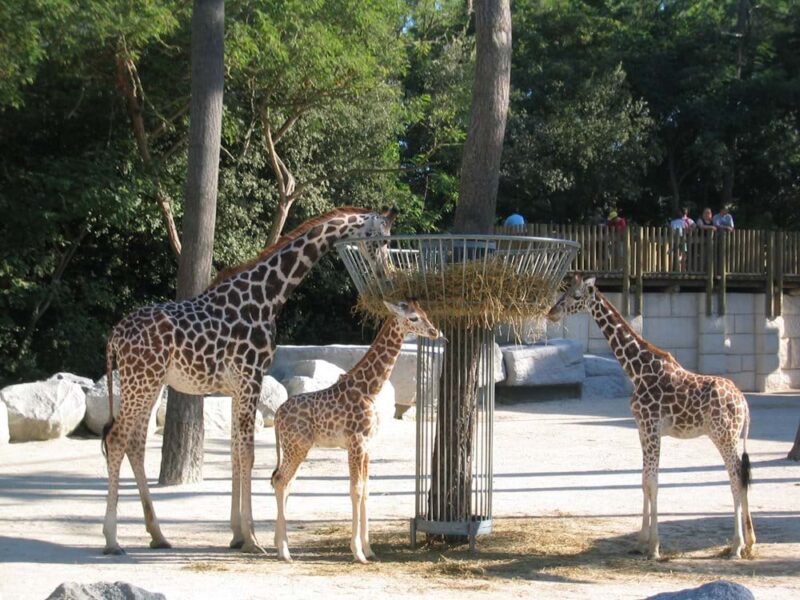 Le Moulin de Beaumont