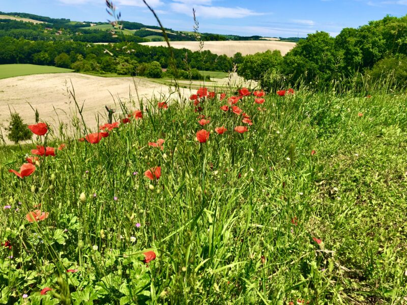 L'Ancien Chai, Lusignac, Dordogne