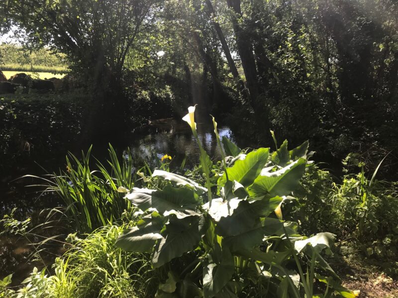 Le Moulin de Beaumont